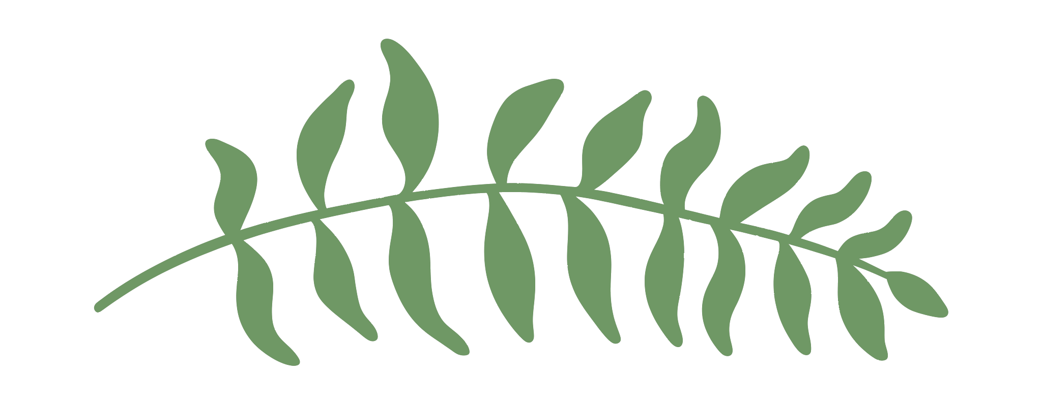 fern 1
